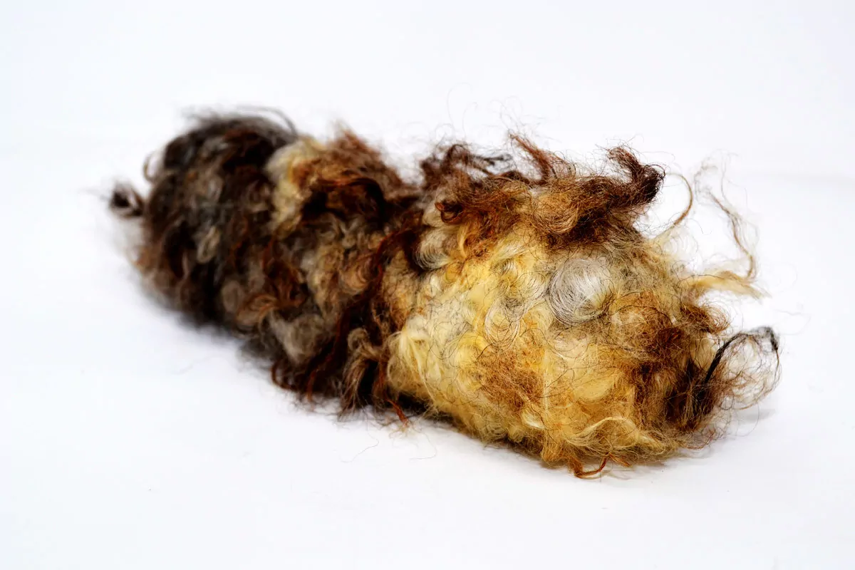 Wuschel aus Bio-Wollfilz – Bild 3
