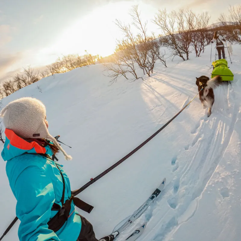 Hundeleine Wandern | Touring Bungee Non-stop dogwear Leine – Bild 5